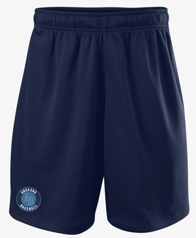 AquaSox Pro Shorts