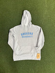 AquaSox Baseball Hoodie